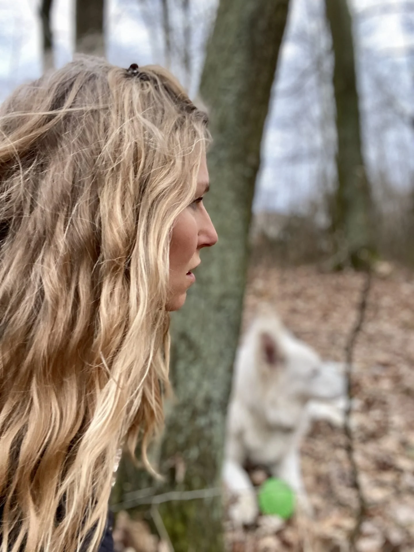 FOREST (4)